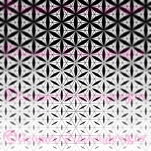 Load image into Gallery viewer, 200+ Pack